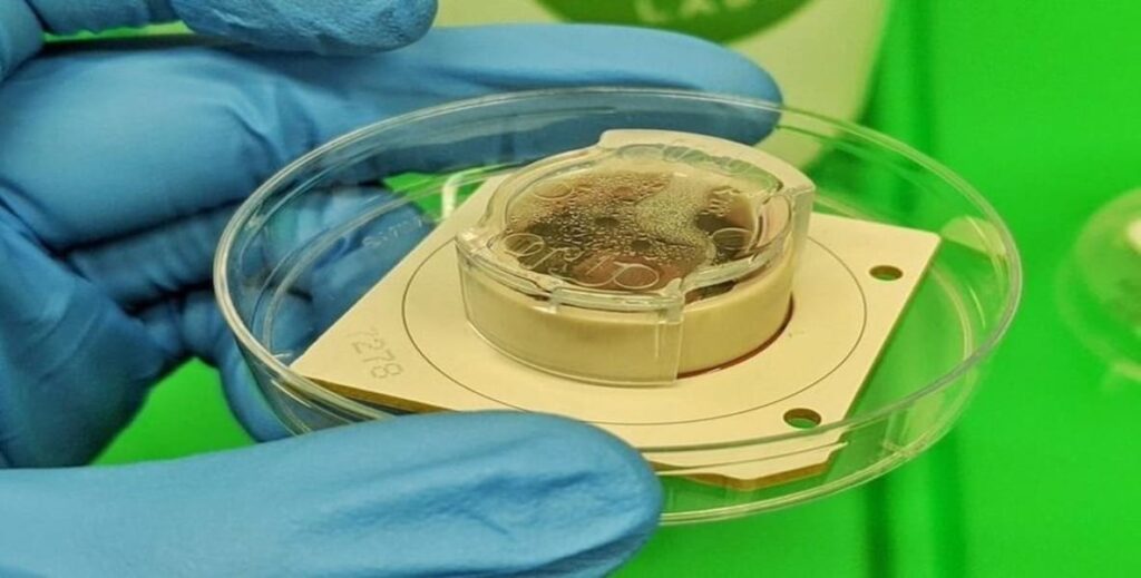 CL1: Conheça o Primeiro Biocomputador do Mundo 4 CL1: Conheça o Primeiro Biocomputador do Mundo